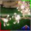 High quality and Bright Lights Christmas Lights 110v Christmas Lights Projector Outdoor