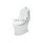 Western Toilet Water-saving Japanese Stylish Toilet Shower Toilet