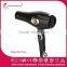 Professional turbo digital dryer hot shot tools