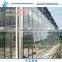 Venlo Multi-Span flower Glass Greenhouse