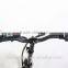 20" Folding Electric Bike With Lithium Battery