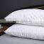 Cotton Terry Toweling Waterproof Pillow Protector Quality Choice