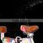 36v 350W 16inch best electric assist lithium bike