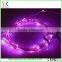 Wedding party festival christmas decoration 12 volt led lights
