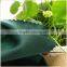 Super Poly Clinquant Velvet For Making Garments, 58'/60' width, 200gsm