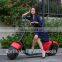 2016 new model Disc Brake type electric motorcycle for adults citycoco electric scooter