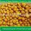 Baby Mandarin Orange / Nanfeng Orange /Fresh Mandarin Orange