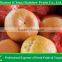 sweet fresh tangerine/mandarin orange /lugan/Lokan/ponkan on sale