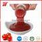 340g tomato sauce tomato ketchup in plastic bottle packing