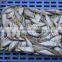 good quality fish meal low price,origin china
