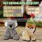 graduation teddy bear&teddy bear plush toy&plush teddy bear
