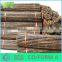 WY-CC 184 cheap natural tonkin bamboo fencing manufactures china