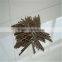Hot Sale Mini Fish Feed Pellet Machine Price Line