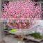 GNW BLS1507011 Centerpieces Cherry Blossom Bonsai Wedding Table Tree On Sale