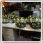Decorative artificial plastic flower bonsai tree for sale
