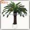 Factory design life size bonsai plants for sale indooor plastic bonsai tree