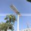 China Home Appliances Cheap led light solar street lamp with lithium battery
