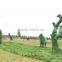 Lisaurus-S Christmas Atificial Grass Shopping Mall Decoration Animal Topiary for Garden Decor