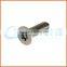 China Supplier Torx Head Anti-theft Screw