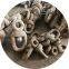 galvanized anchor chain factory self color anchor chain supplier
