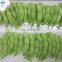 Wholesale IQF Green Soy Beans