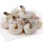 Hot Sale White Shrimps Frozen Vannamei Shrimp Price Frozen pd Pdto Peeled Vannamei Shrimp