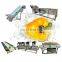 Big capacity pepper potato tomato leaves vegetable air bubble vegetables and fruits washing and drying processing line