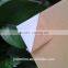 White Plastic sheet cutting based on drawing