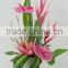 High quality Anthuriums plants for sale/wholesale artificial flower for home decoration