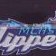 Wholesale Full back big size animal logo Embroidery patch Of clothing