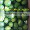 SPECIAL PRICE FOR LIME/GREEN LEMON FROM VIETNAM