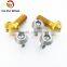 pure M8 DIN558 standard Molybdenum Hexagon screws size
