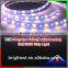 Addressable RGB+W/RGB+R Waterproof IP 65 12VDC/24VDC 12 power led strip 5050 60LEDS/M