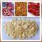 304 stainless steel mushroom mesh belt dryer for sale with best service