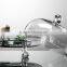 Crystal Clear Glass Cake Stand with Dome