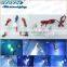 2w led motorcycle light/decorative Lamp with red,blue,green,pink color for motorcycle