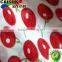 High performance water based pigment paste CTH-1001 Red for textile printing