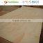 Cheap 4ft x 8ft Plywood Sheet Supplier