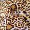 2014 new design FDY print spandex single jersey knitted fabirc