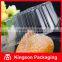 Clear Rectangular Plastic Hinged Container for Food