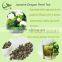 China Premium Natural Scented Jasmine Dragon Pearl Tea Ball Wholesale