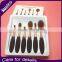 Newest Wholesale 6Pcs High Quality Rose Black Handle Foundation Toothbrush Oval Makeup Brush Set