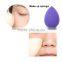 Hot Sale Factory Sales Beauty Professional Cosmetics Foundation Makeup Brush Kit