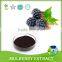 100% natural pigment 25% Anthocyanidins Top Quality Mulberry Fruit Extract