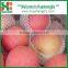 Fresh apple names all fruits fruit and vegetables apple prices