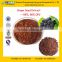 GMP Factory Supply High Quality Grape Seed Extract (High Orac Value)
