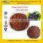 GMP Manufacturer Supply Low Price Grape Seed Powder Extract