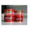 tomato paste in canned food good qualtiy competitive price