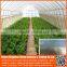 Low cost agricultural / commercial / hydroponic / industrial / hobby / prefabricated / tunnel plastic greenhouse used film