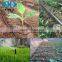 Super Refined Potassium Humate Fertilizer With 65%humic acid, 15%fulvic acid,12%K2O